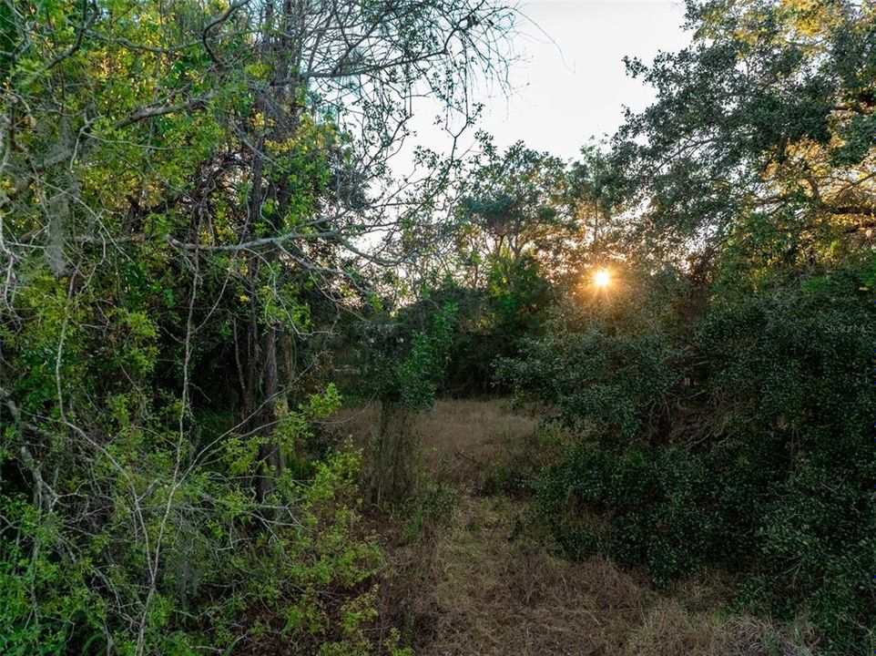 На продажу: $13,300 (0.35 acres)
