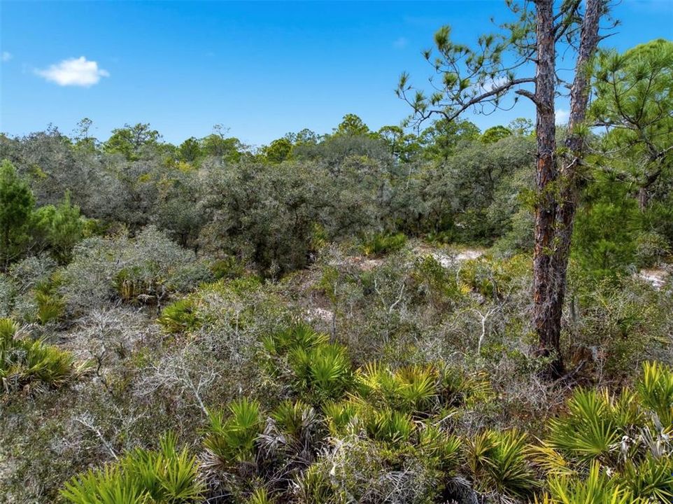 待售: $14,999 (0.23 acres)