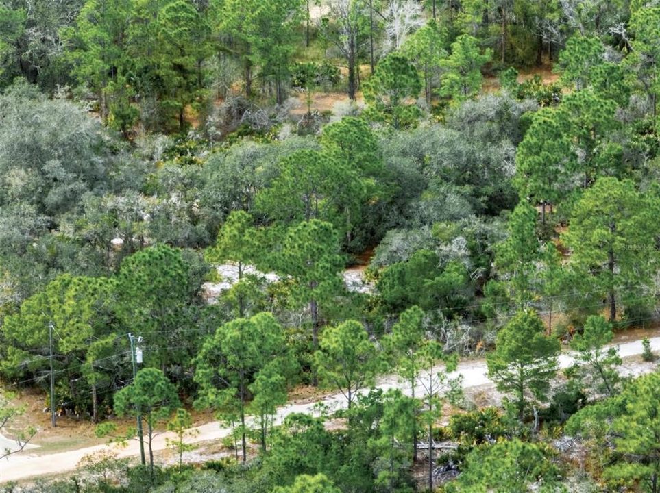 待售: $14,999 (0.23 acres)