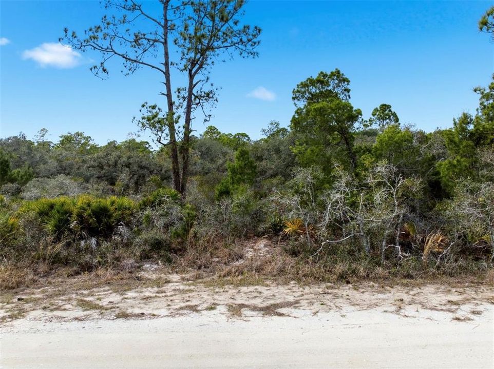 待售: $14,999 (0.23 acres)