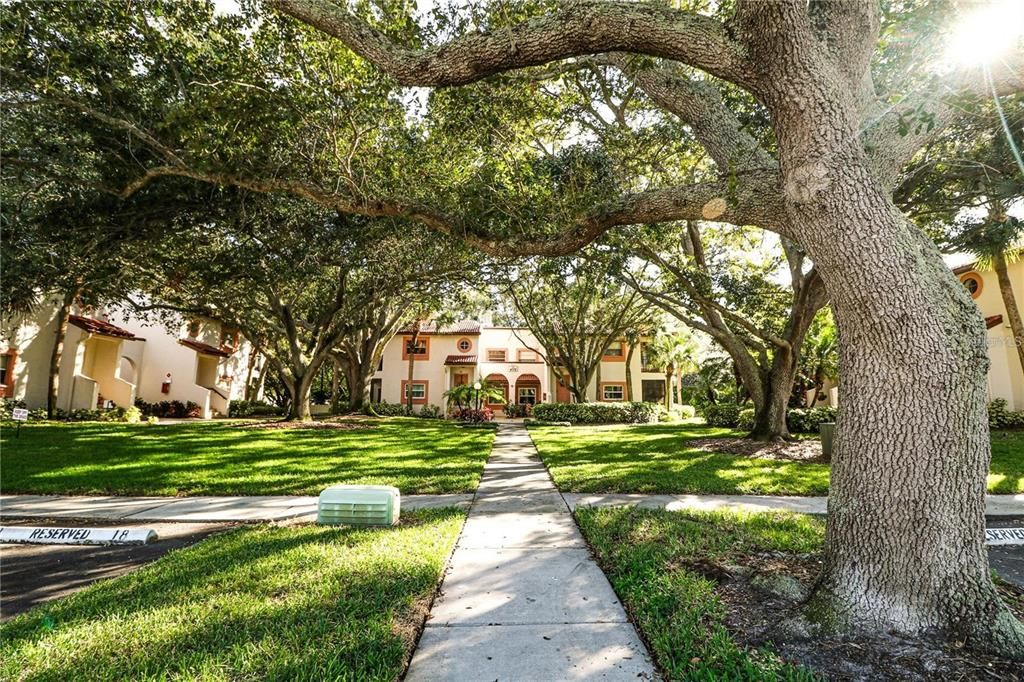 Active With Contract: $202,000 (2 beds, 2 baths, 1025 Square Feet)
