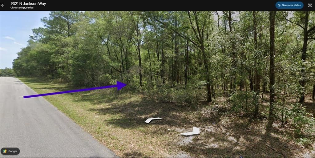 待售: $19,999 (0.23 acres)