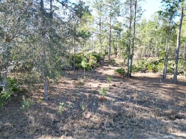 En Venta: $14,900 (0.50 acres)