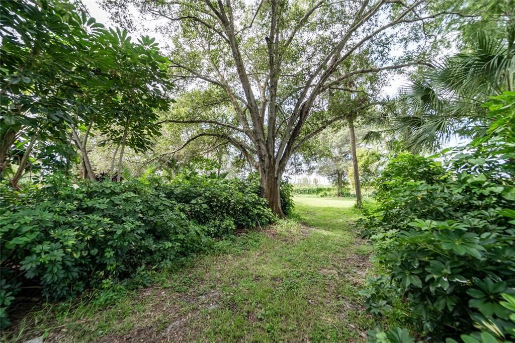 For Sale: $285,000 (0.85 acres)