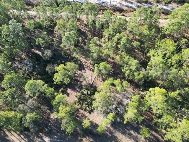 En Venta: $14,900 (0.50 acres)