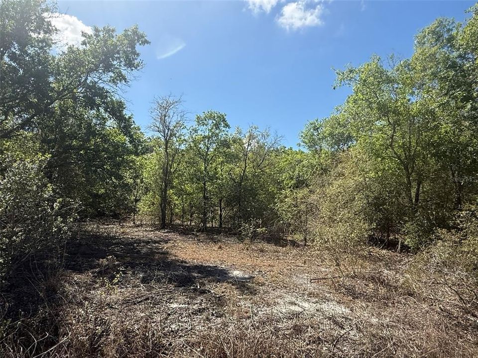 待售: $49,500 (2.50 acres)