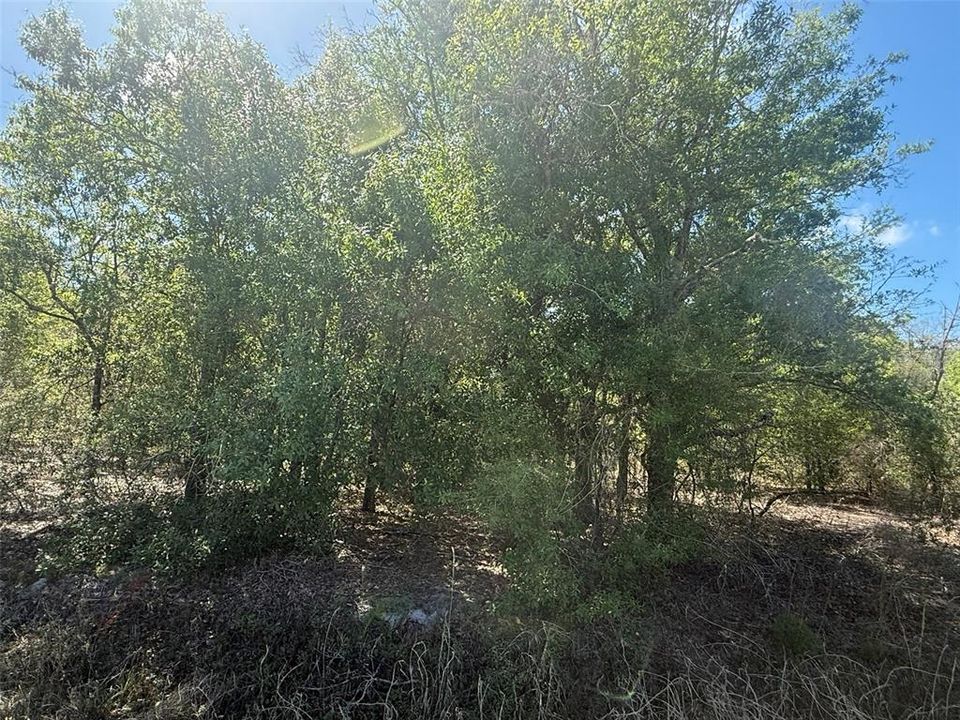 待售: $49,500 (2.50 acres)