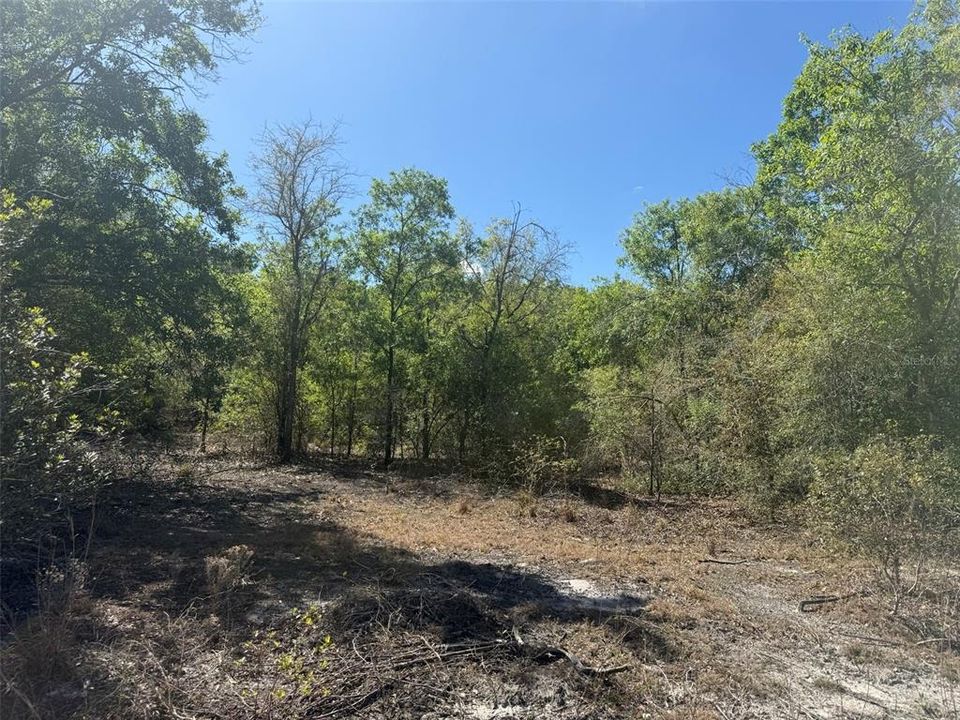 待售: $49,500 (2.50 acres)