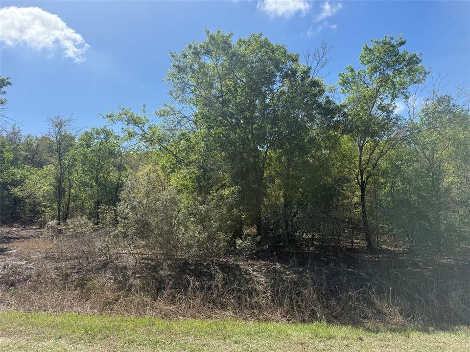 待售: $49,500 (2.50 acres)