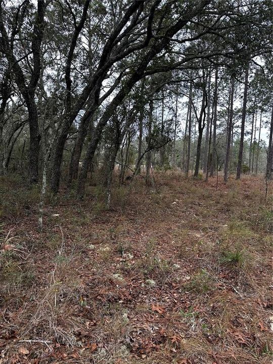 待售: $135,000 (5.00 acres)