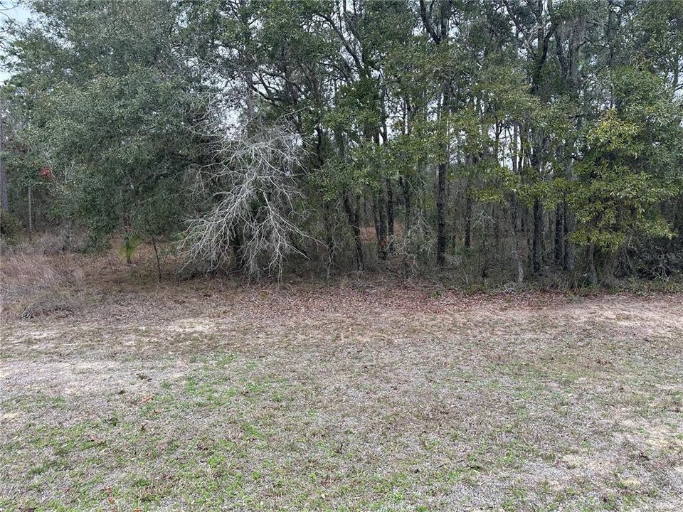 待售: $135,000 (5.00 acres)