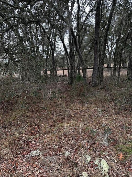 待售: $135,000 (5.00 acres)