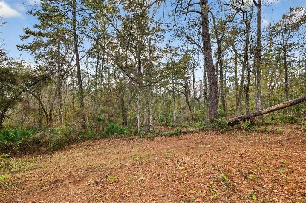 En Venta: $180,000 (1.95 acres)