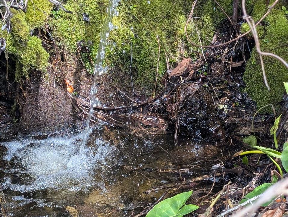 En Venta: $180,000 (1.95 acres)