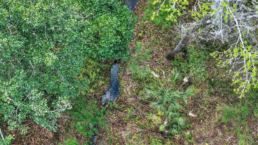 En Venta: $180,000 (1.95 acres)