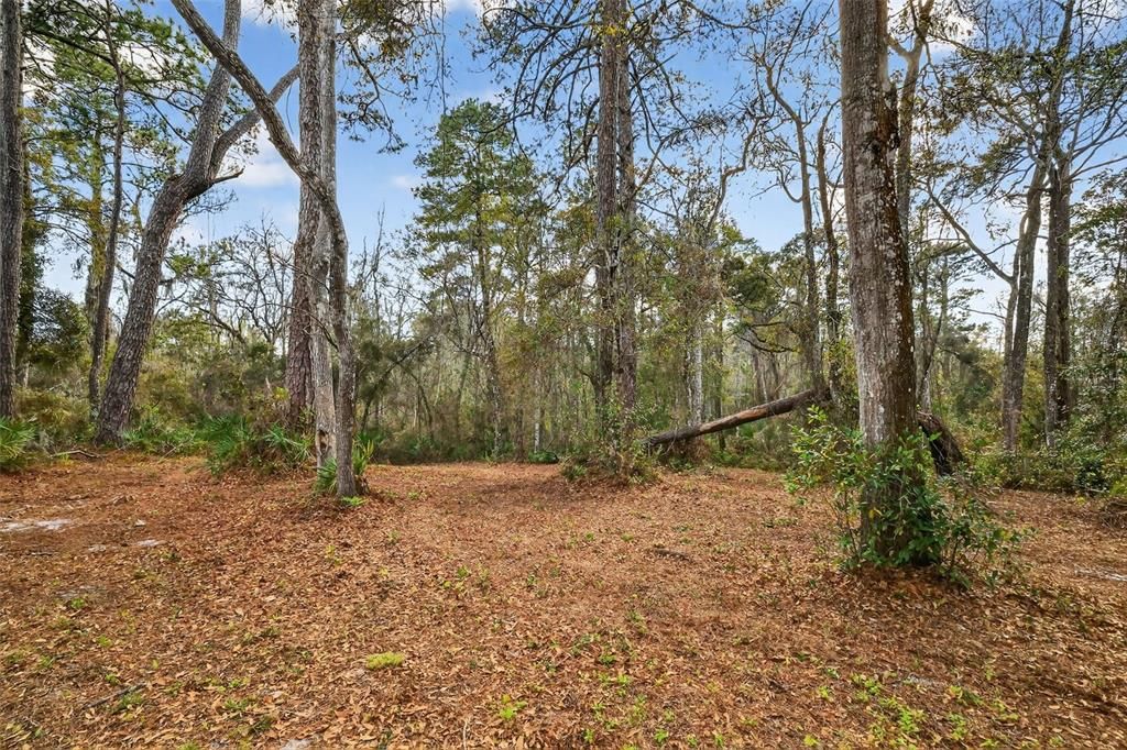 На продажу: $149,900 (1.95 acres)