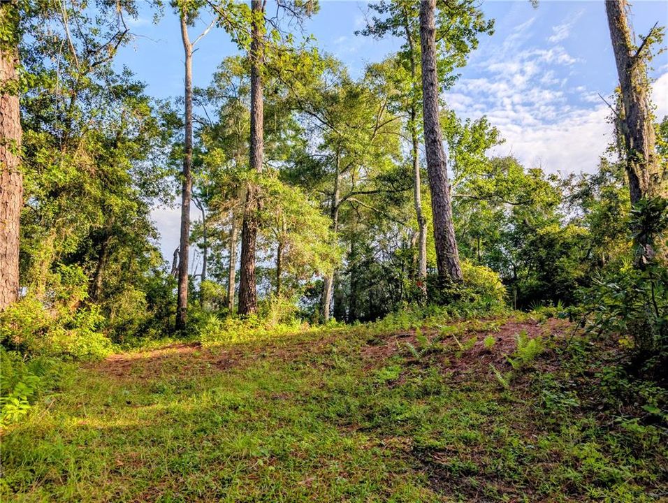 На продажу: $149,900 (1.95 acres)
