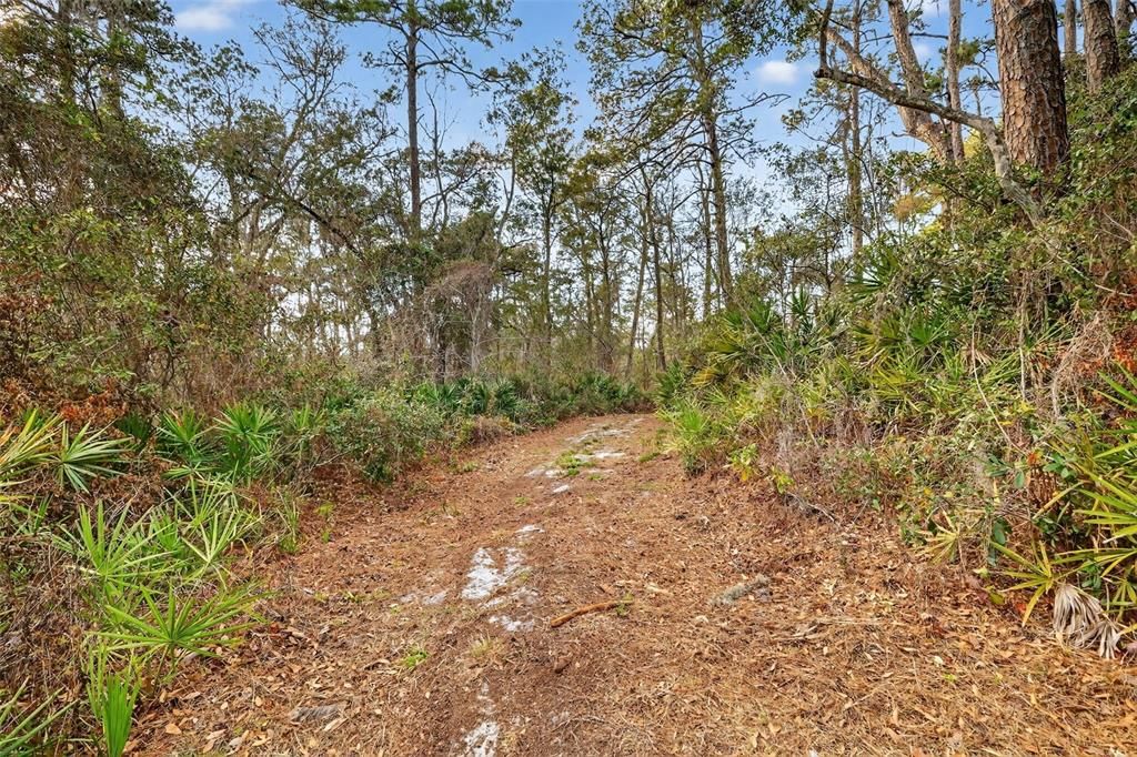 En Venta: $180,000 (1.95 acres)