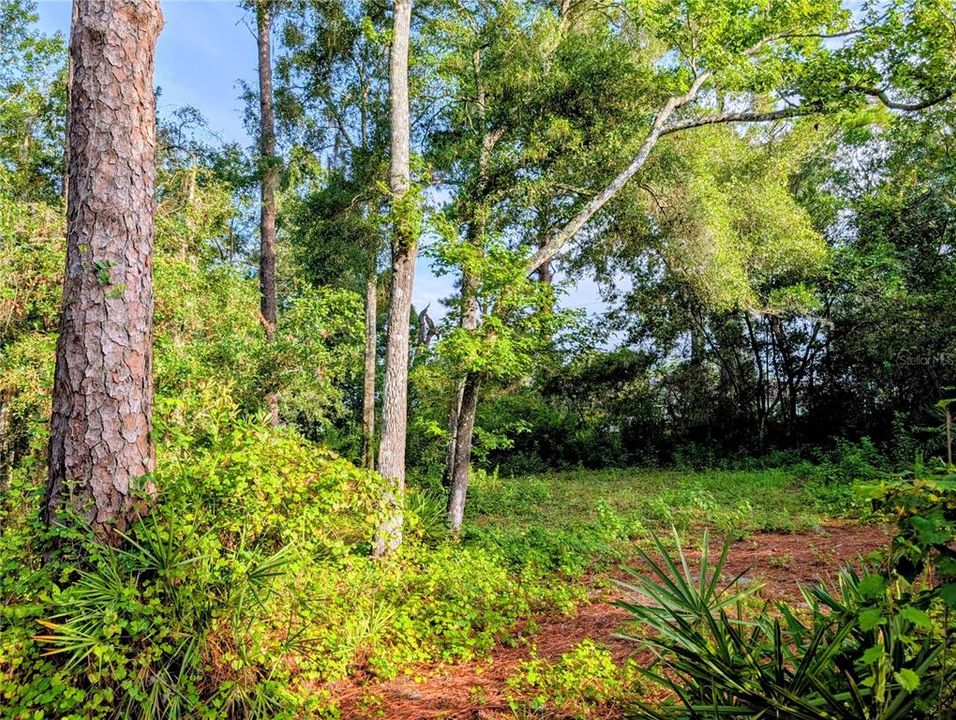 На продажу: $149,900 (1.95 acres)