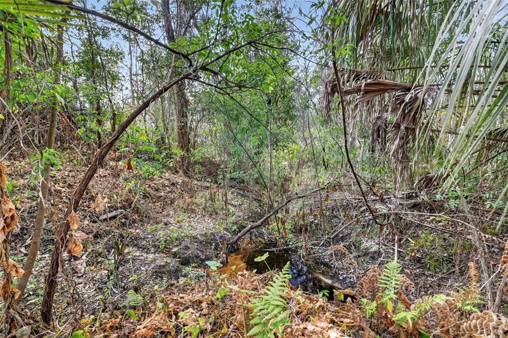 En Venta: $180,000 (1.95 acres)