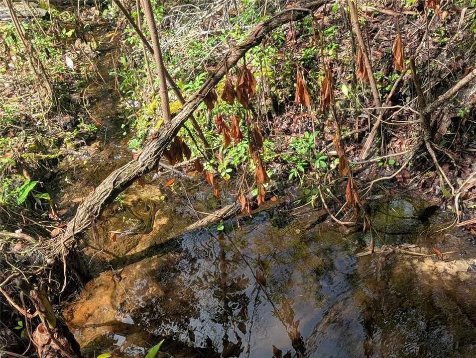 En Venta: $180,000 (1.95 acres)