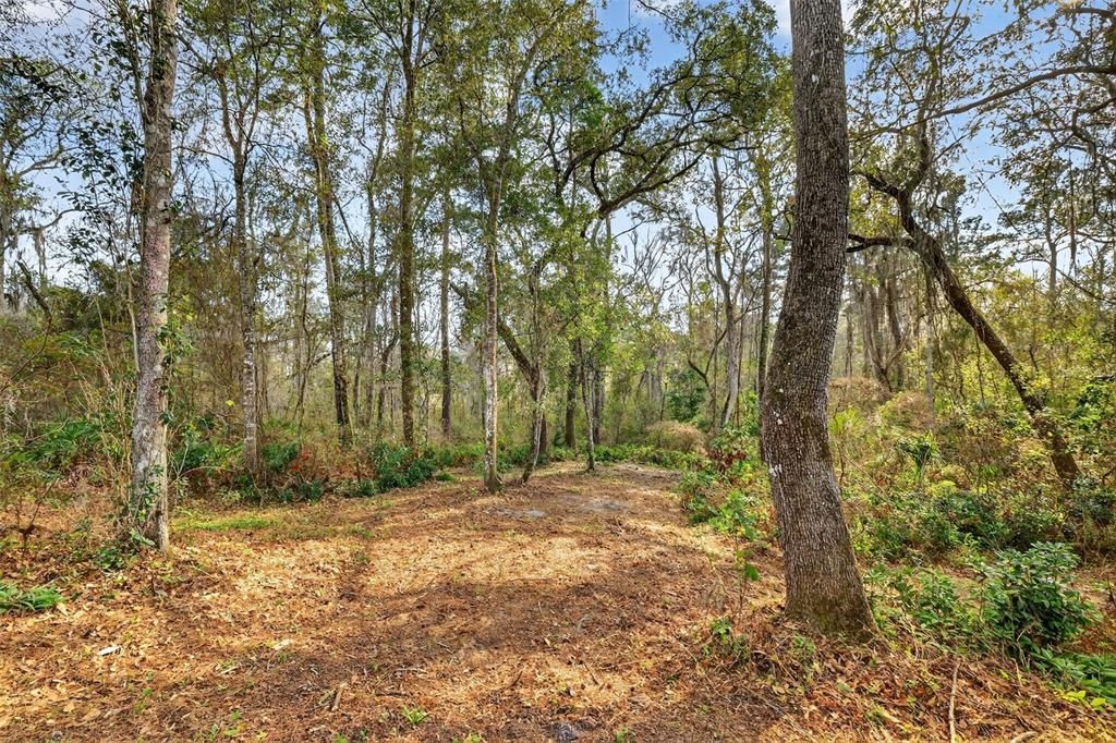 На продажу: $149,900 (1.95 acres)