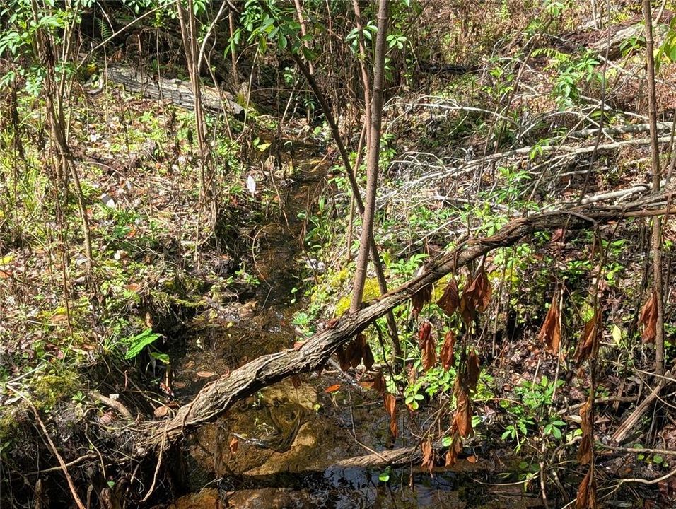 En Venta: $180,000 (1.95 acres)