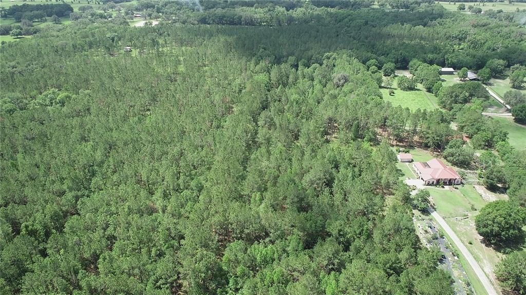 For Sale: $1,095,000 (12.94 acres)