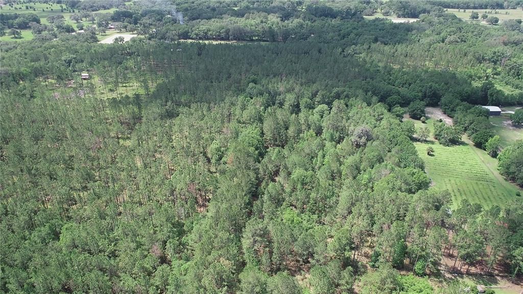 For Sale: $1,095,000 (12.94 acres)