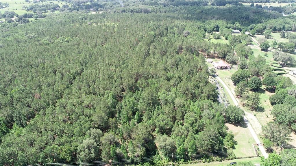 For Sale: $1,095,000 (12.94 acres)