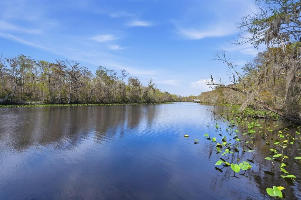 En Venta: $1,995,000 (5 camas, 8 baños, 5407 Pies cuadrados)