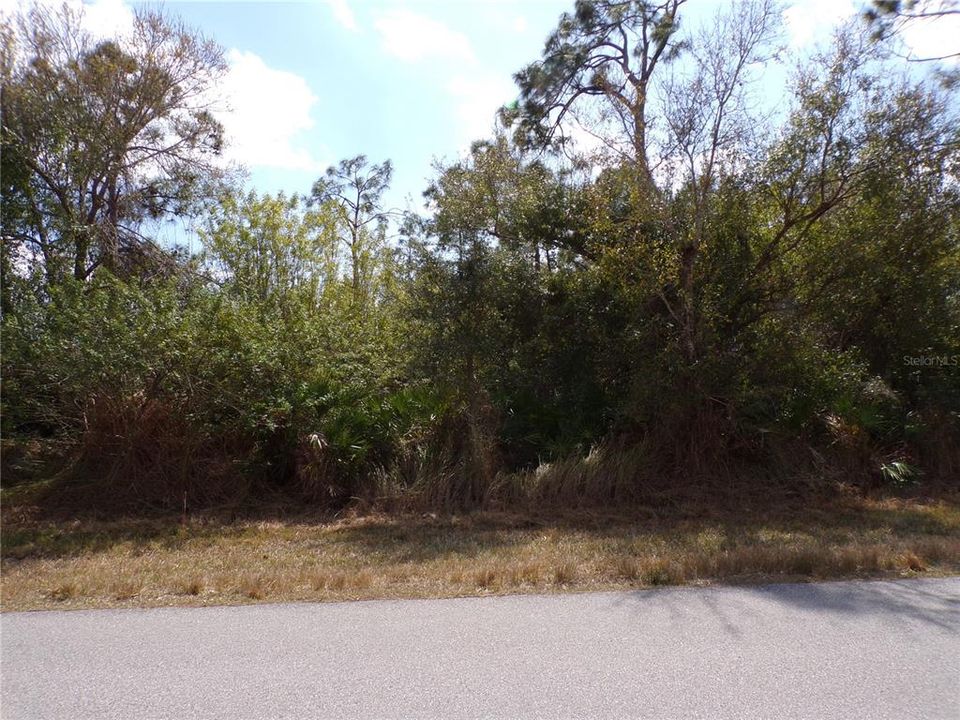 На продажу: $43,990 (0.25 acres)