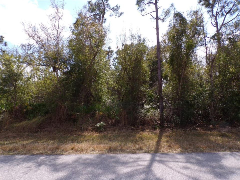 На продажу: $43,990 (0.25 acres)