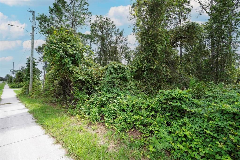 For Sale: $47,000 (0.23 acres)