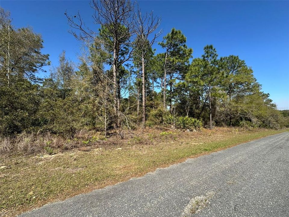 На продажу: $29,900 (0.23 acres)