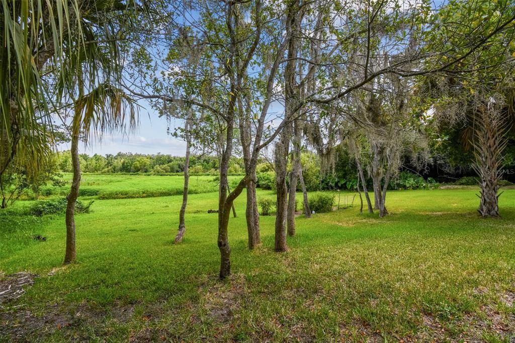 На продажу: $268,000 (15.00 acres)