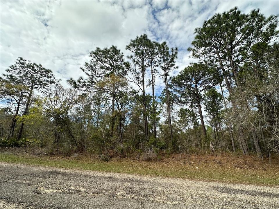 На продажу: $18,000 (0.23 acres)