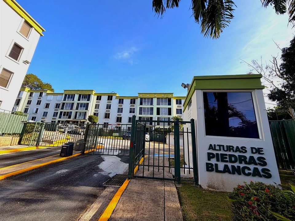 出租: $2,400 (3 贝兹, 2 浴室, 1222 平方英尺)