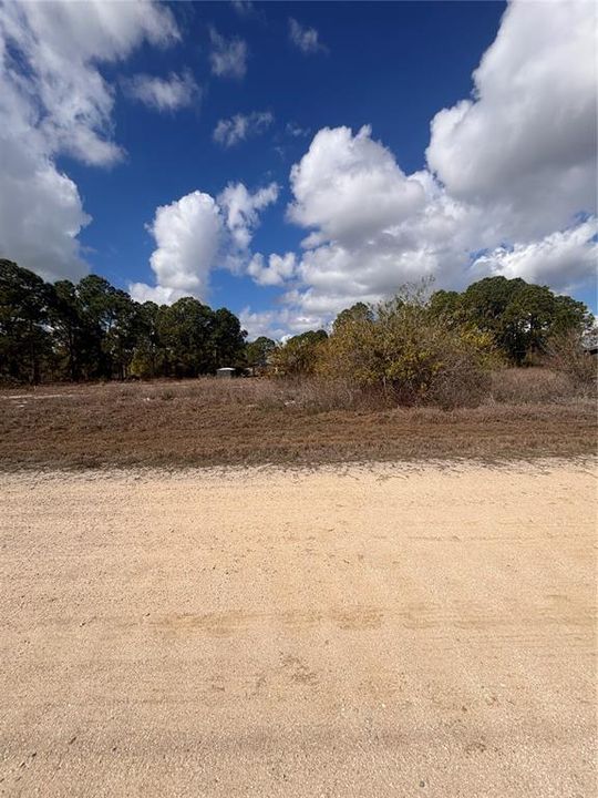 待售: $21,500 (0.22 acres)