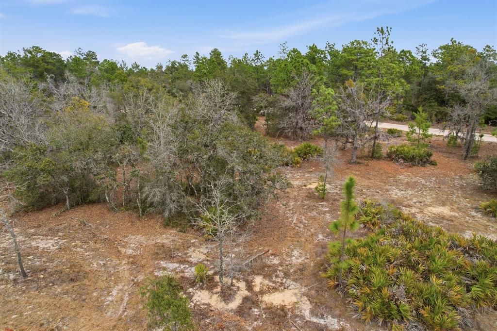 На продажу: $179,900 (9.95 acres)