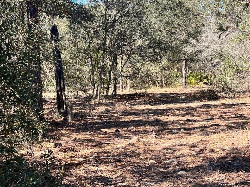 На продажу: $179,900 (9.95 acres)