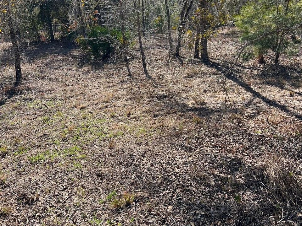 На продажу: $179,900 (9.95 acres)