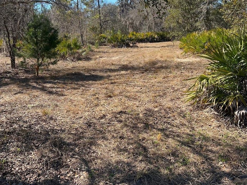 На продажу: $179,900 (9.95 acres)