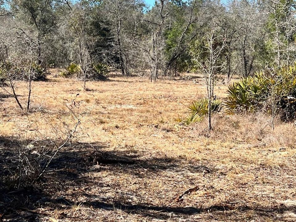 На продажу: $179,900 (9.95 acres)