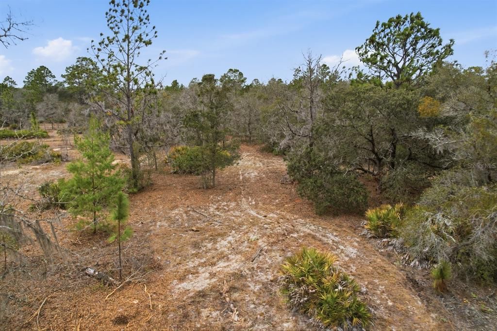 На продажу: $179,900 (9.95 acres)