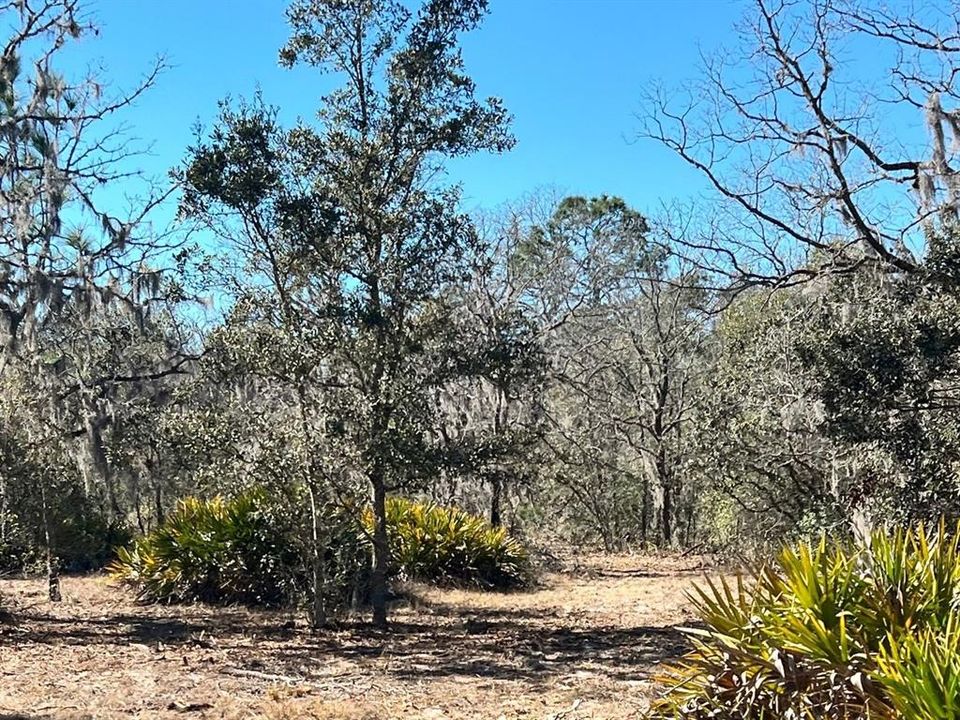 На продажу: $179,900 (9.95 acres)