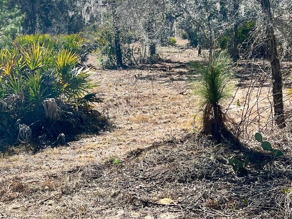 На продажу: $179,900 (9.95 acres)