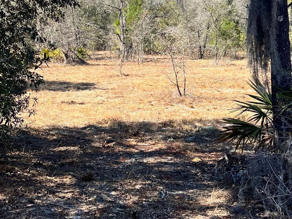 На продажу: $179,900 (9.95 acres)