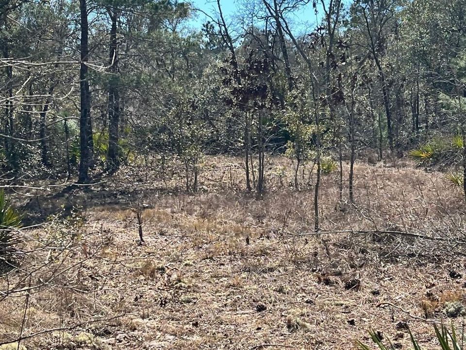 На продажу: $179,900 (9.95 acres)