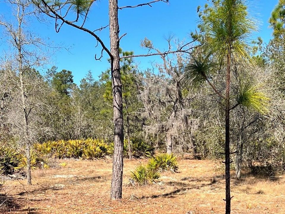 На продажу: $179,900 (9.95 acres)